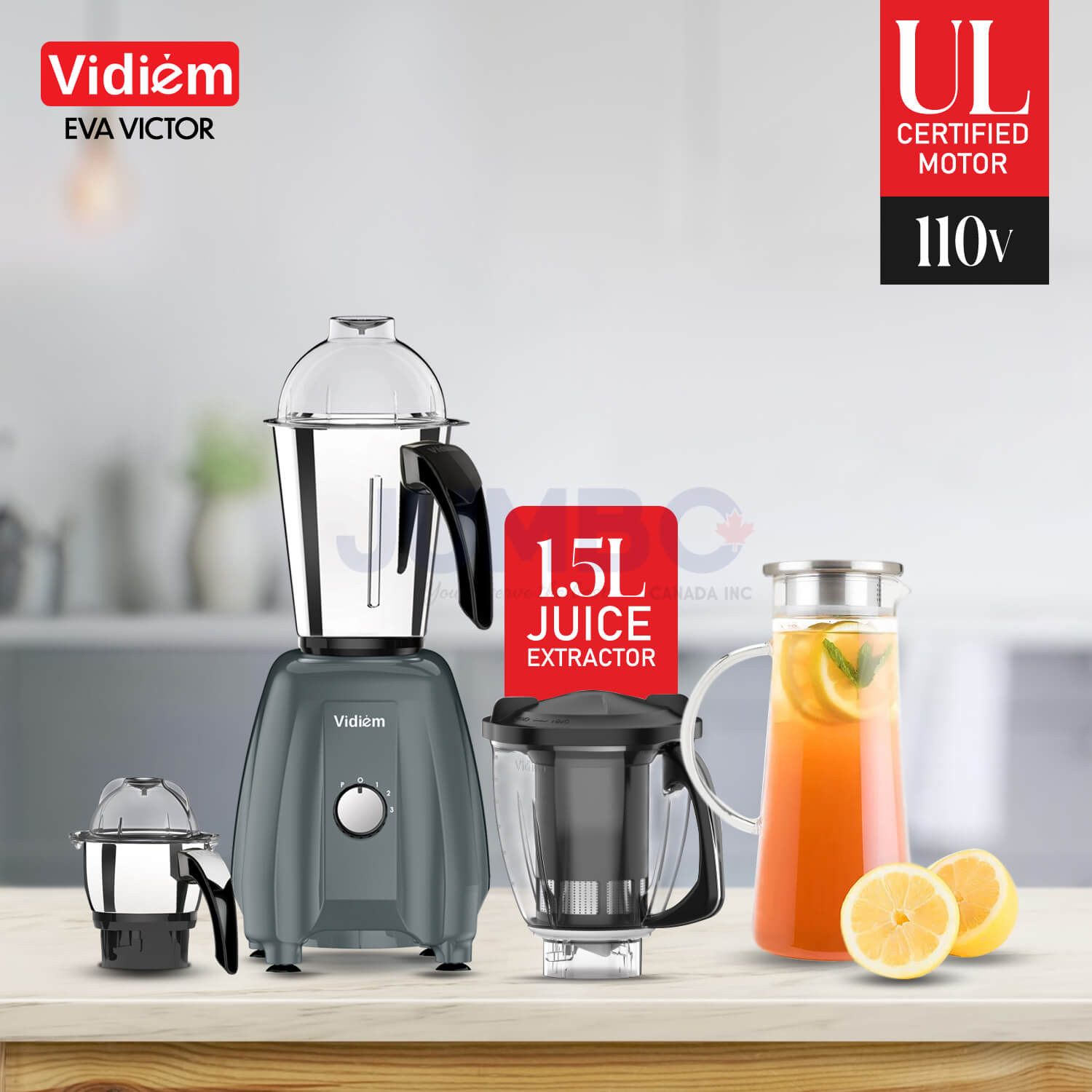 vidiem-eva-victor-650w-110v-stainless-steel-jars-indian-mixer-grinder-spice-coffee-grinder-with-almond-nut-milk-juice-extractor-for-use-in-canada-usa5
