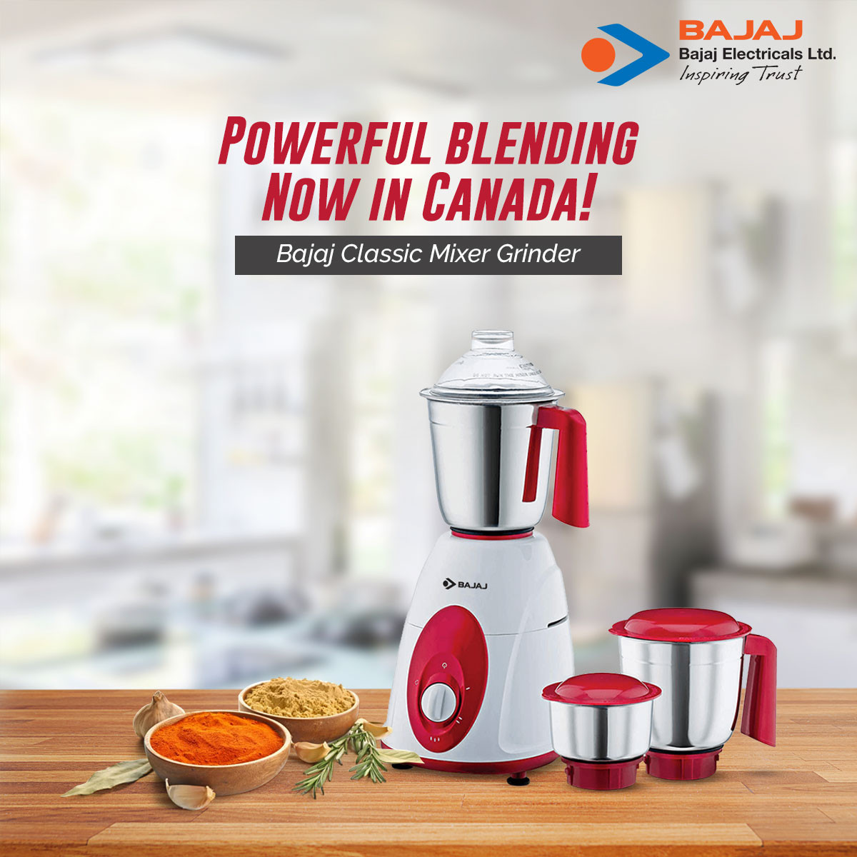 bajaj-classic-pro-600w-indian-mixer-grinder-with-special-chef-jar-stainless-steel-jars-indian-mixer-grinder-spice-coffee-grinder-110v-for-use-in-canada-usa2